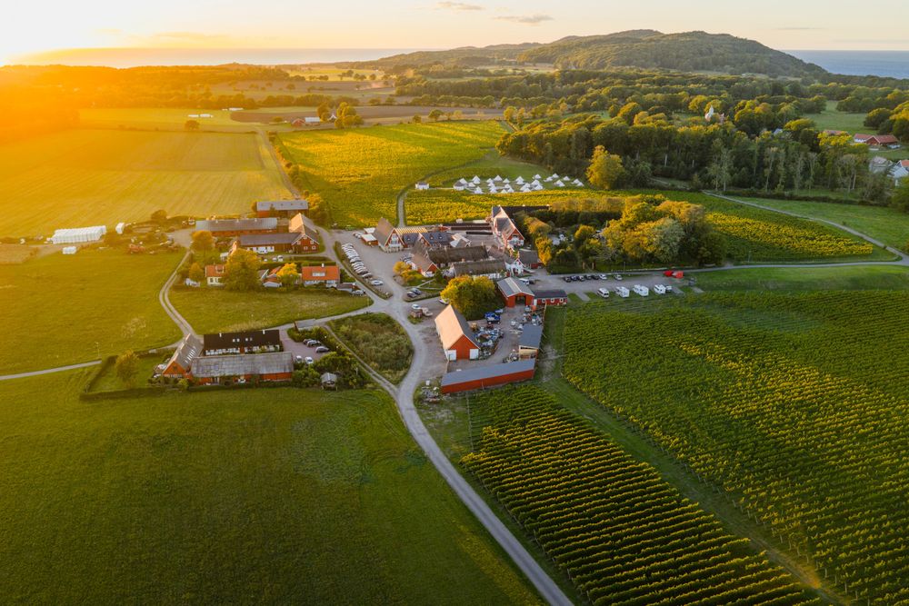 Discover the Wines of Skåne during  International Jeunes Sommeliers Competition