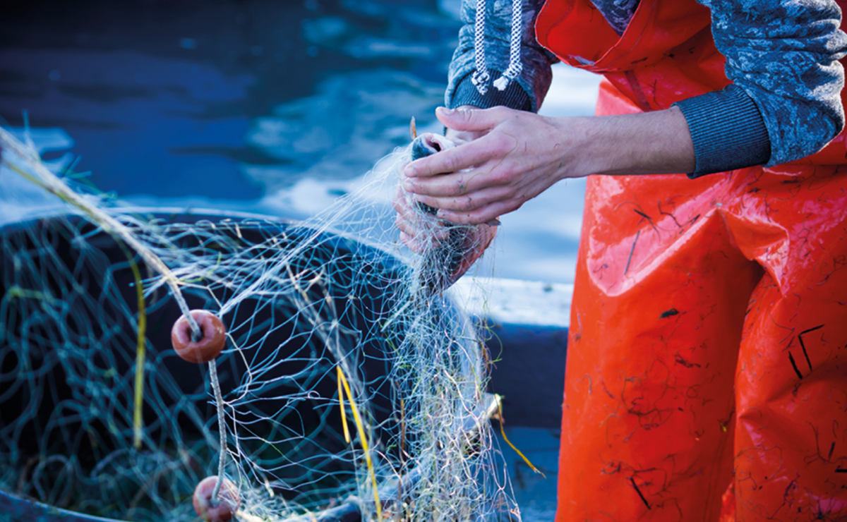 Händer som arbetar med fiskenät